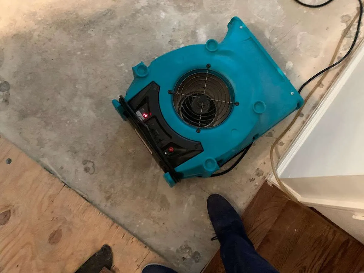 Air mover drying subfloor during Commercial Water Damage Restoration in Delano